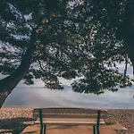 Laguna 그라다츠